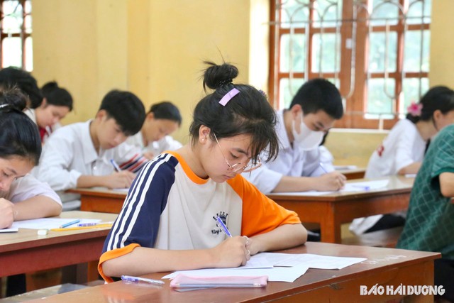 Đề thi tuyển sinh lớp 10 môn Ngữ văn tại Đà Nẵng, Hải Dương, Yên Bái năm học 2024 - 2025- Ảnh 5.