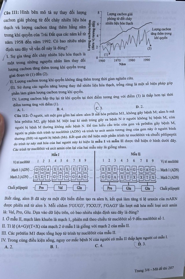 THI TỐT NGHIỆP THPT 2024: Đề thi, gợi ý đáp án môn SINH HỌC- Ảnh 4.