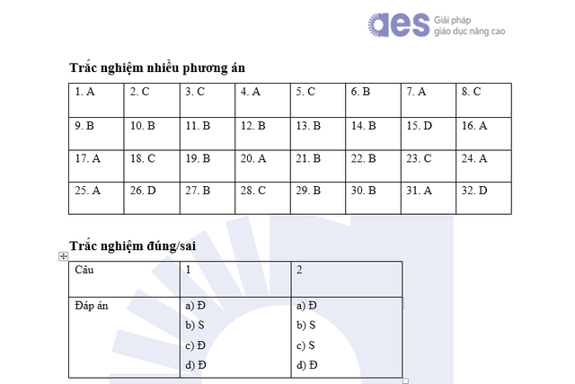 Gợi ý đáp án đề minh họa môn TIN HỌC thi vào lớp 10 Hà Nội theo chương trình mới- Ảnh 9.