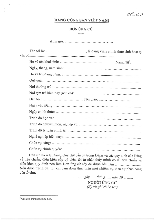 Hướng dẫn thủ tục, hồ sơ ứng cử, đề cử thực hiện Quy chế bầu cử trong Đảng- Ảnh 4.