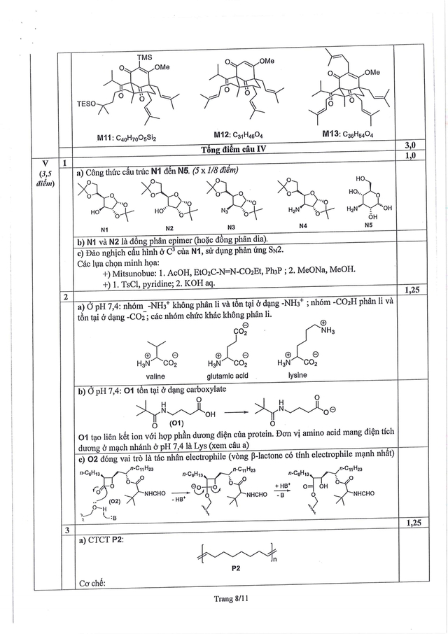 Đề thi và đáp án môn Hóa Học chọn học sinh giỏi quốc gia THPT năm học 2024-2025- Ảnh 27.