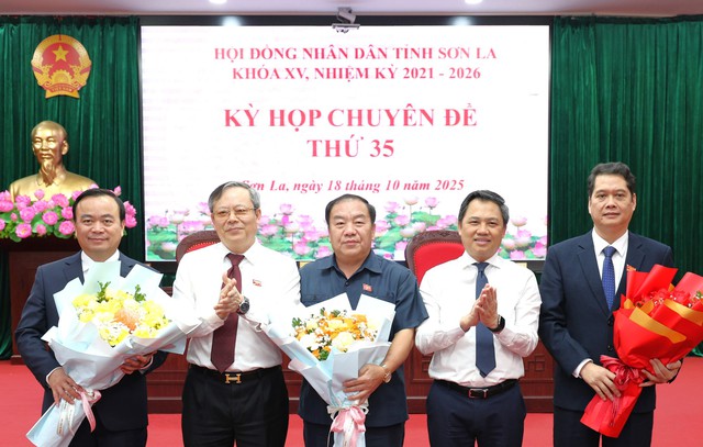 Bí thư Đảng ủy, Chủ tịch HĐND phường được bầu giữ chức Phó Chủ tịch UBND tỉnh- Ảnh 1. Bí thư Đảng ủy, Chủ tịch HĐND phường được bầu giữ chức Phó Chủ tịch UBND tỉnh- Ảnh 1.