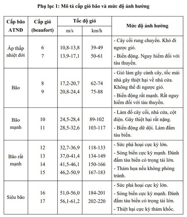 Tin BÃO SỐ 12, KHÔNG KHÍ LẠNH TĂNG CƯỜNG, cảnh báo MƯA LỚN và các chỉ đạo ứng phó- Ảnh 4.