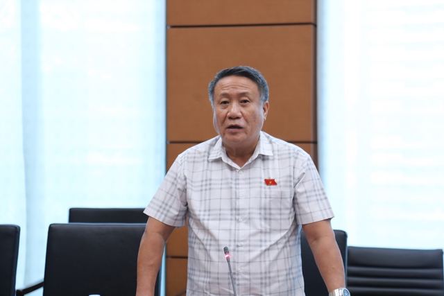 Đại biểu Quốc hội góp ý quy định về tiền lương, xử lý kỷ luật viên chức- Ảnh 2.