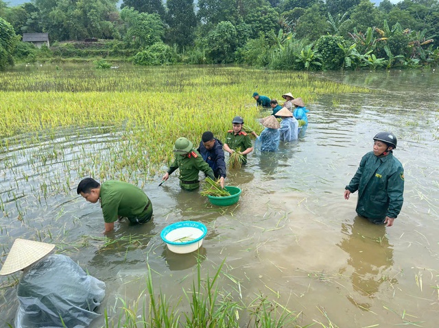 Công điện 185/CĐ-TTg: Huy động tối đa lực lượng, khẩn trương khắc phục hậu quả bão số 10 và mưa lũ sau bão- Ảnh 1.