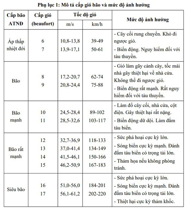 BÃO SỐ 11 HẾT SỨC NGUY HIỂM, THIÊN TAI CHỒNG THIÊN TAI, NGUY CƠ TAI BIẾN CHỒNG TAI BIẾN, THỦ TƯỚNG CHÍNH PHỦ CHỈ ĐẠO QUYẾT LIỆT ỨNG PHÓ- Ảnh 5.