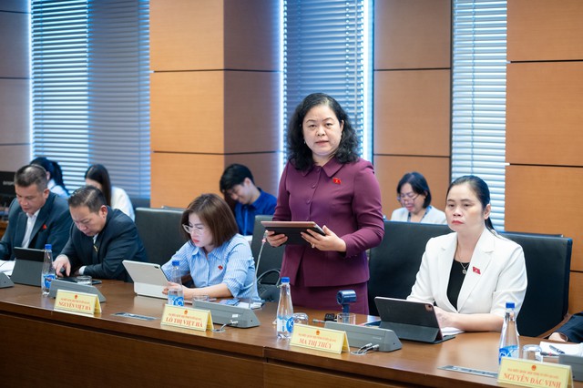 Đề nghị bổ sung hành vi bị nghiêm cấm khi thực hiện tiếp công dân trực tuyến- Ảnh 6.