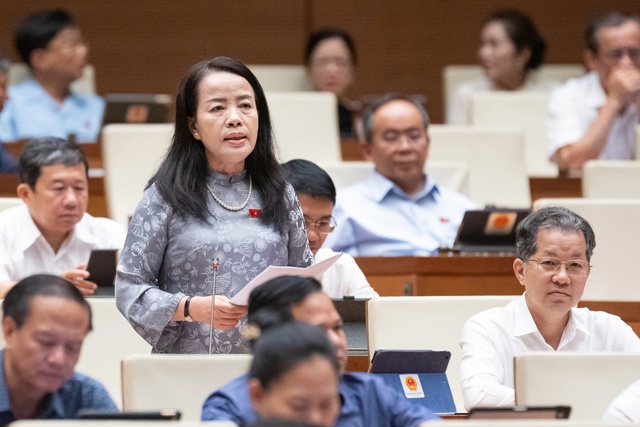 Quốc hội thảo luận sửa đổi, bổ sung Hiến pháp, Luật Tổ chức chính quyền địa phương- Ảnh 3. Quốc hội thảo luận sửa đổi, bổ sung Hiến pháp, Luật Tổ chức chính quyền địa phương- Ảnh 3.