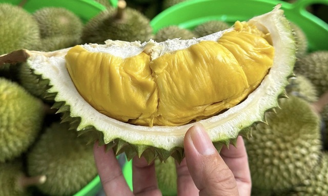 Thêm 960 mã số vùng trồng, cơ sở đóng gói sầu riêng được xuất khẩu sang Trung Quốc- Ảnh 2. Thêm 960 mã số vùng trồng, cơ sở đóng gói sầu riêng được xuất khẩu sang Trung Quốc- Ảnh 2.