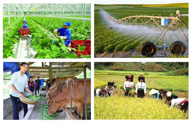 Từ 1/7: Tổng điều tra nông thôn, nông nghiệp năm 2025- Ảnh 1. Từ 1/7: Tổng điều tra nông thôn, nông nghiệp năm 2025- Ảnh 1.