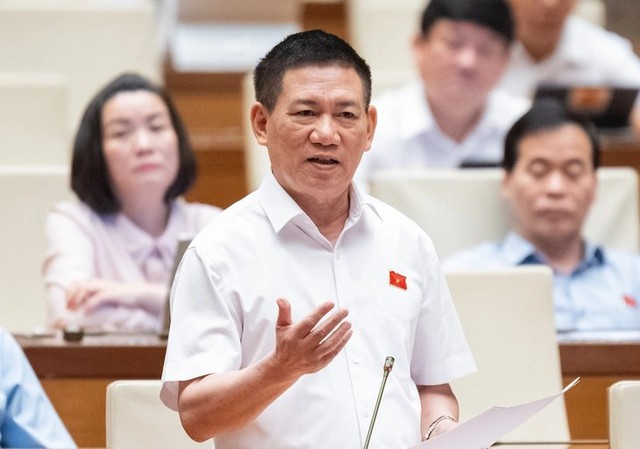 Phó Thủ tướng Hồ Đức Phớc: Nên áp dụng thuế khoán đối với hộ kinh doanh, buôn bán nhỏ, doanh thu dưới 1 tỷ đồng- Ảnh 1. Phó Thủ tướng Hồ Đức Phớc: Nên áp dụng thuế khoán đối với hộ kinh doanh, buôn bán nhỏ, doanh thu dưới 1 tỷ đồng- Ảnh 1.