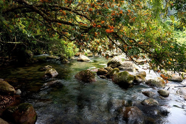 UNESCO mở rộng ranh giới Di sản Thiên nhiên Thế giới Vườn quốc gia Phong Nha - Kẻ Bàng- Ảnh 7. UNESCO mở rộng ranh giới Di sản Thiên nhiên Thế giới Vườn quốc gia Phong Nha - Kẻ Bàng- Ảnh 7.