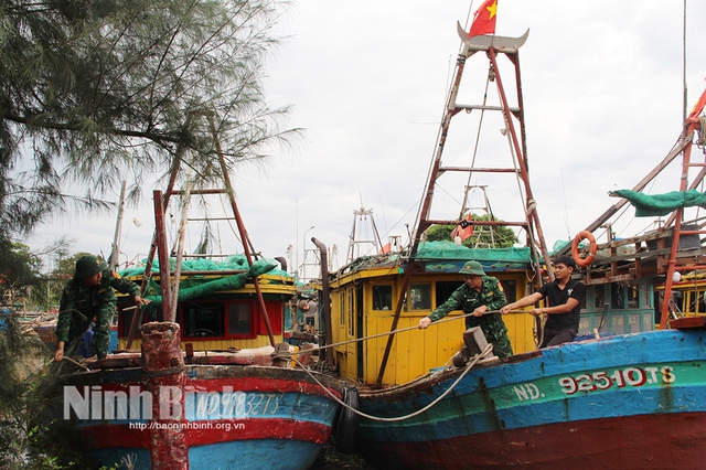 KHẨN TRƯƠNG ứng phó BÃO SỐ 3: Sẵn sàng SƠ TÁN DÂN; CẤM BIỂN từ 7.00' ngày 21/7- Ảnh 1. KHẨN TRƯƠNG ứng phó BÃO SỐ 3: Sẵn sàng SƠ TÁN DÂN; CẤM BIỂN từ 7.00' ngày 21/7- Ảnh 1.