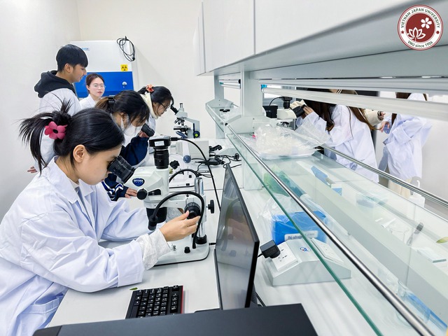 Điểm chuẩn Trường Đại học Việt Nhật (VJU), ĐHQG Hà Nội năm 2025- Ảnh 1.