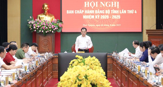 Nữ Phó Chủ tịch UBND tỉnh được bầu giữ chức Chủ nhiệm Ủy ban Kiểm tra Tỉnh ủy- Ảnh 1.