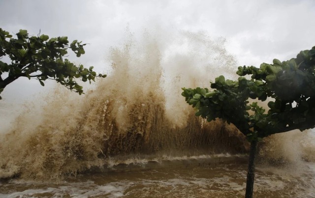 Tin BÃO SỐ 8 - Bão MITAG; BÃO RAGASA và các chỉ đạo ứng phó- Ảnh 7. Tin BÃO SỐ 8 - Bão MITAG; BÃO RAGASA và các chỉ đạo ứng phó- Ảnh 7.