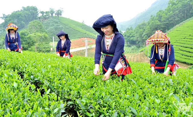 Xây dựng Thái Nguyên trở thành trung tâm công nghiệp hiện đại, thu nhập trung bình cao trước 2030- Ảnh 3. Xây dựng Thái Nguyên trở thành trung tâm công nghiệp hiện đại, thu nhập trung bình cao trước 2030- Ảnh 3.