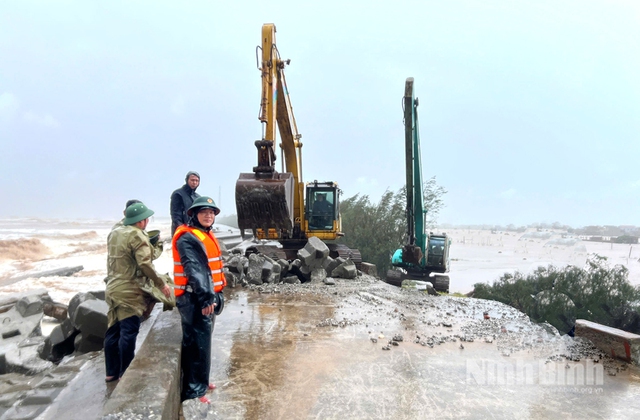 NINH BÌNH: HUY ĐỘNG TOÀN LỰC 'CỨU' ĐÊ BIỂN HẢI THỊNH, KHẮC PHỤC HẬU QUẢ BÃO SỐ 10- Ảnh 7.