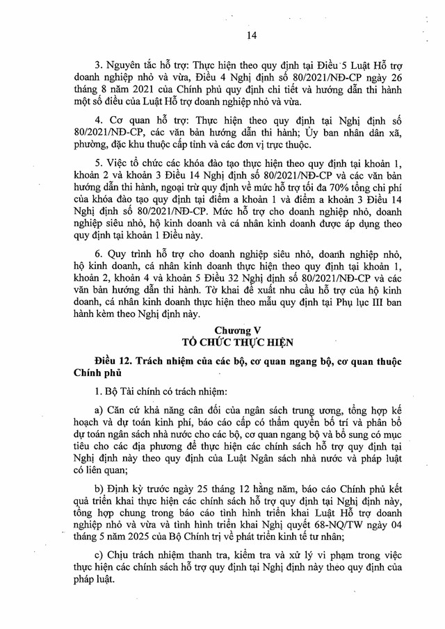 Nghị định số 20/2026/NĐ-CP về cơ chế, chính sách đặc biệt phát triển kinh tế tư nhân- Ảnh 16.