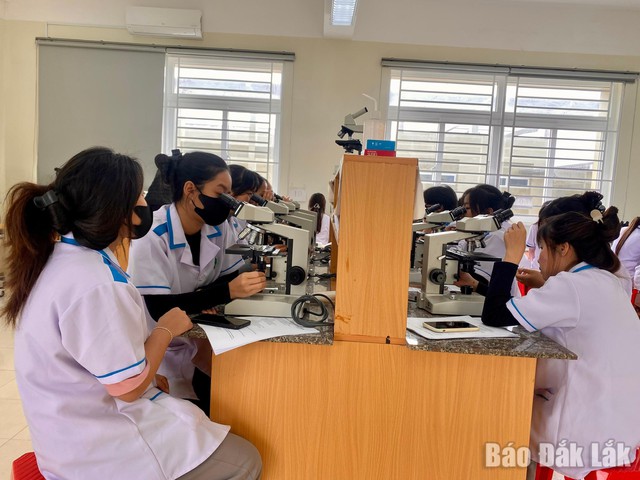 Rà soát, sắp xếp đơn vị sự nghiệp, kiên quyết cơ cấu lại, giải thể những đơn vị hoạt động không hiệu quả- Ảnh 1. Rà soát, sắp xếp đơn vị sự nghiệp, kiên quyết cơ cấu lại, giải thể những đơn vị hoạt động không hiệu quả- Ảnh 1.