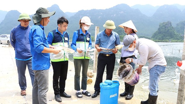 Tổ chức lại Trung tâm khuyến nông- Ảnh 1.