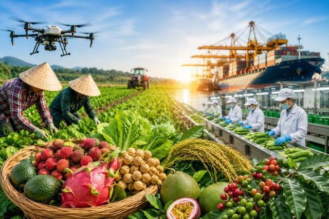 Điều kiện lựa chọn dự án phát triển sản xuất liên kết theo chuỗi giá trị- Ảnh 1.
