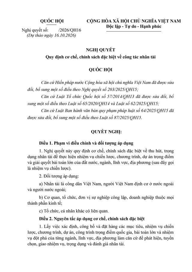 Dự thảo Nghị quyết quy định cơ chế, chính sách đặc biệt về công tác nhân tài- Ảnh 1.