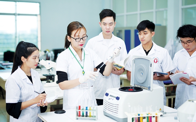 Quy định mới về chế độ làm việc, bổ nhiệm và xếp lương đối với nhân sự hỗ trợ giáo dục đại học - Ảnh 1.
