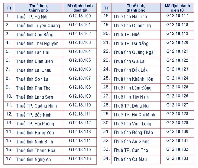 Mã định danh điện tử của 34 Thuế tỉnh, thành phố và 350 Thuế cơ sở từ 1/10/2026- Ảnh 2.