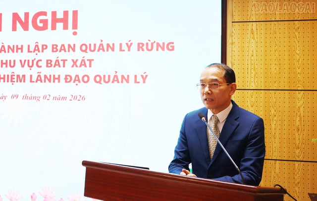 Sắp xếp, sáp nhập, thành lập Ban Quản lý rừng phòng hộ- Ảnh 3.