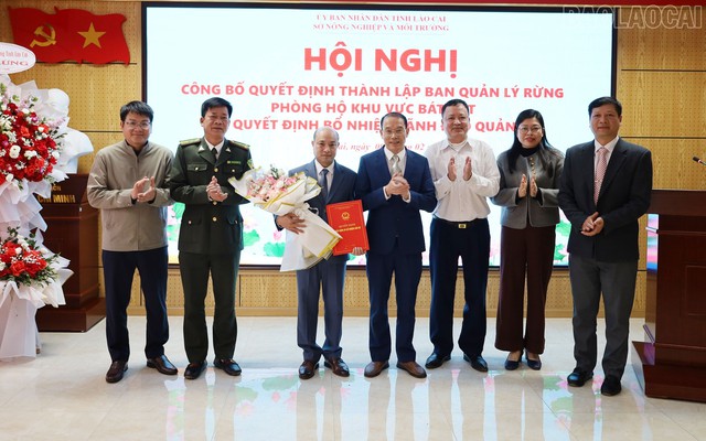 Sắp xếp, sáp nhập, thành lập Ban Quản lý rừng phòng hộ- Ảnh 2.