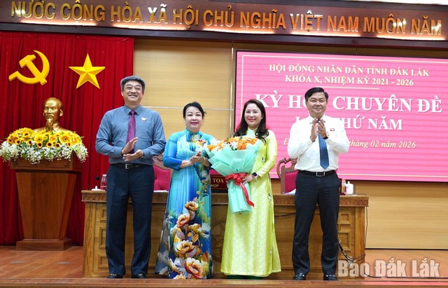 Kiện toàn nhân sự Ban Thường vụ Tỉnh ủy, Phó Chủ tịch HĐND tỉnh- Ảnh 2.