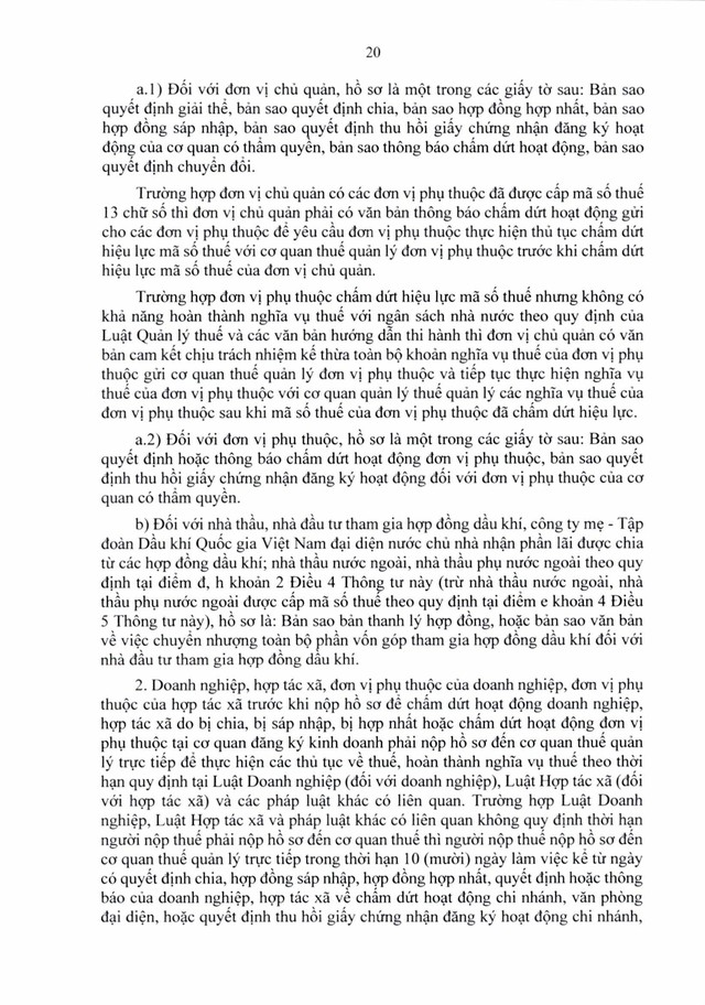 Văn bản hợp nhất số 06/VBHN-BTC: Thông tư quy định về đăng ký thuế- Ảnh 20.
