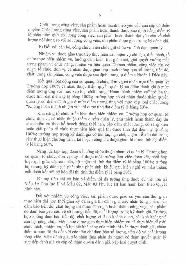 Quy định mới: Đánh giá cán bộ, công chức, viên chức TP Đà Nẵng theo hiệu quả công việc- Ảnh 11.