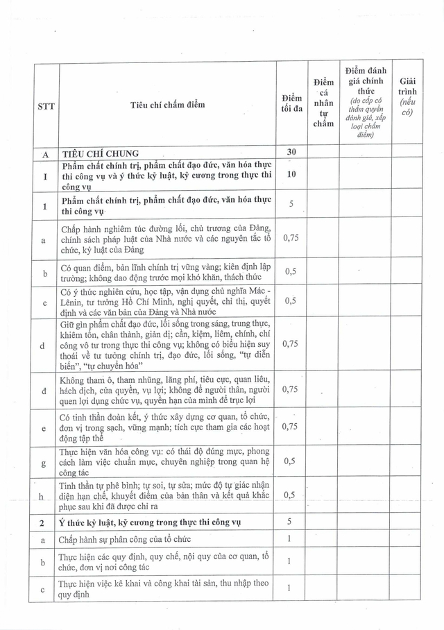Quy định mới: Đánh giá cán bộ, công chức, viên chức TP Đà Nẵng theo hiệu quả công việc- Ảnh 31.