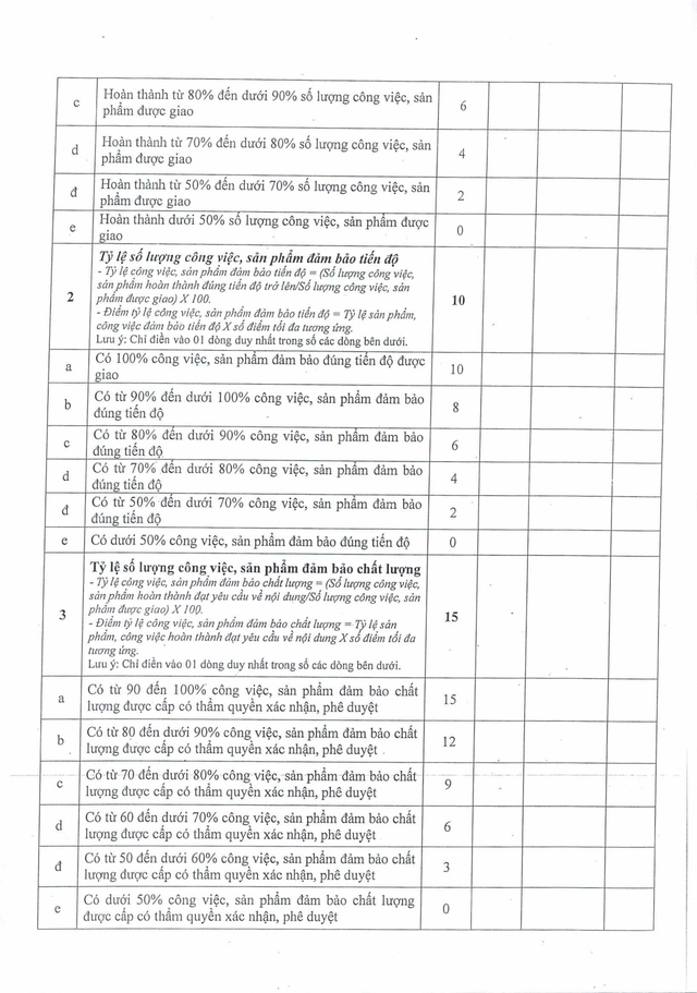 Quy định mới: Đánh giá cán bộ, công chức, viên chức TP Đà Nẵng theo hiệu quả công việc- Ảnh 34.