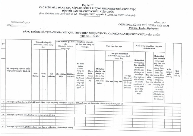 Quy định mới: Đánh giá cán bộ, công chức, viên chức TP Đà Nẵng theo hiệu quả công việc- Ảnh 38.