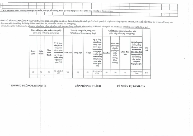 Quy định mới: Đánh giá cán bộ, công chức, viên chức TP Đà Nẵng theo hiệu quả công việc- Ảnh 39.