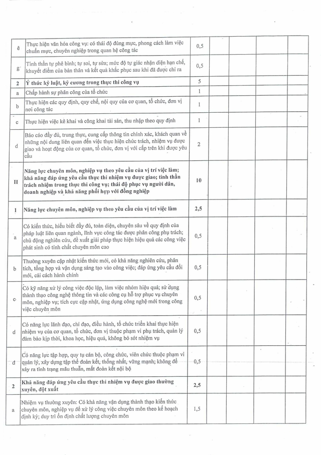 Quy định mới: Đánh giá cán bộ, công chức, viên chức TP Đà Nẵng theo hiệu quả công việc- Ảnh 41.
