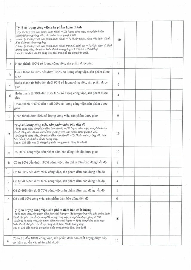 Quy định mới: Đánh giá cán bộ, công chức, viên chức TP Đà Nẵng theo hiệu quả công việc- Ảnh 43.