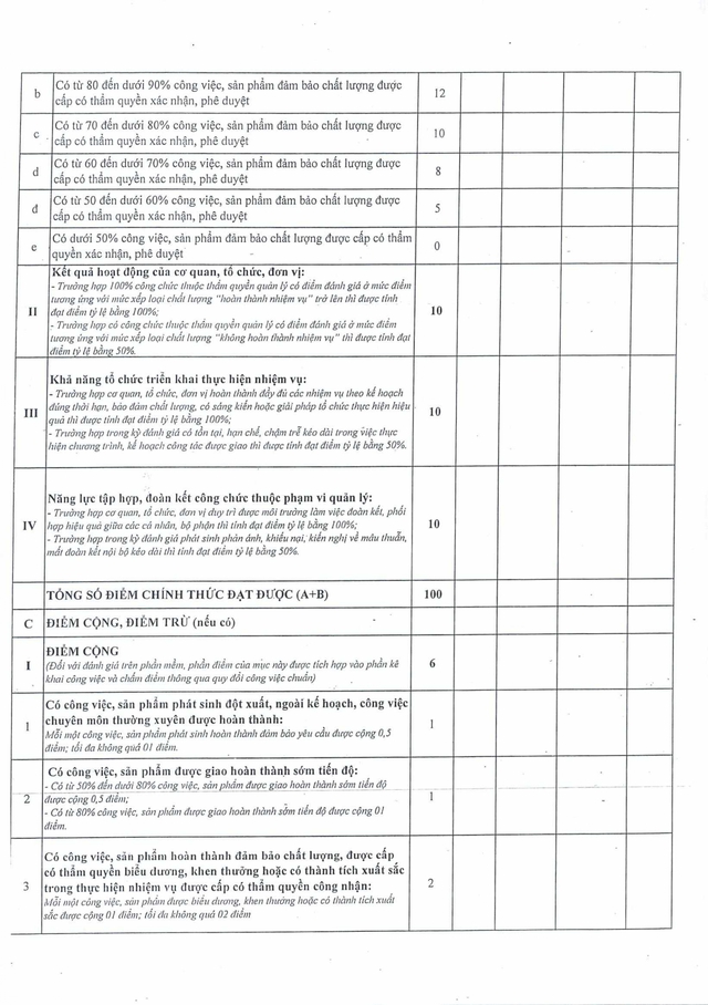 Quy định mới: Đánh giá cán bộ, công chức, viên chức TP Đà Nẵng theo hiệu quả công việc- Ảnh 44.