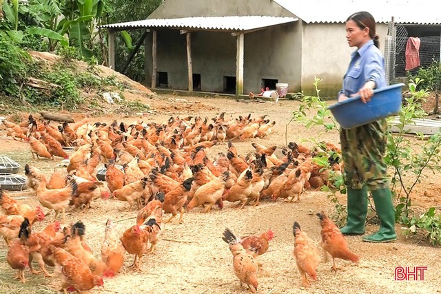 Kết thúc hoạt động và giải thể Quỹ Hỗ trợ Phụ nữ nghèo trực thuộc Hội Liên hiệp Phụ nữ Việt Nam- Ảnh 1.