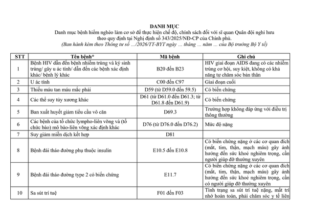 Đề xuất danh mục bệnh hiểm nghèo để thực hiện chế độ, chính sách với sĩ quan Quân đội nghỉ hưu- Ảnh 1.
