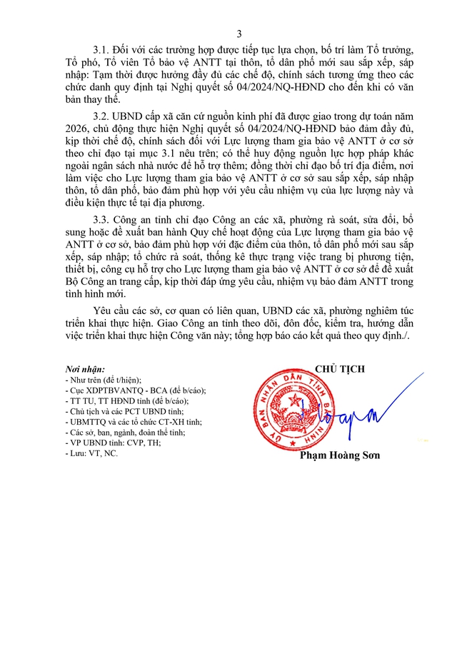 SẮP XẾP THÔN, TỔ DÂN PHỐ: Khẩn trương kiện toàn lực lượng bảo vệ an ninh, trật tự cơ sở- Ảnh 4.