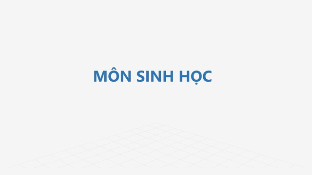 PHỔ ĐIỂM KỲ THI TỐT NGHIỆP THPT năm 2026- Ảnh 24.