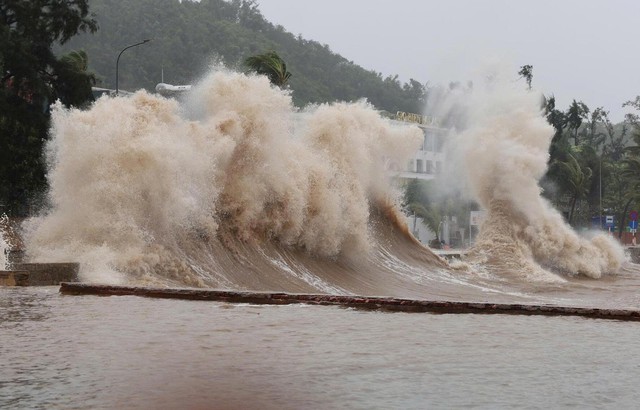 Tin BÃO SỐ 1 - MAYSAK; CẢNH BÁO MƯA LỚN và các CHỈ ĐẠO ỨNG PHÓ- Ảnh 13.