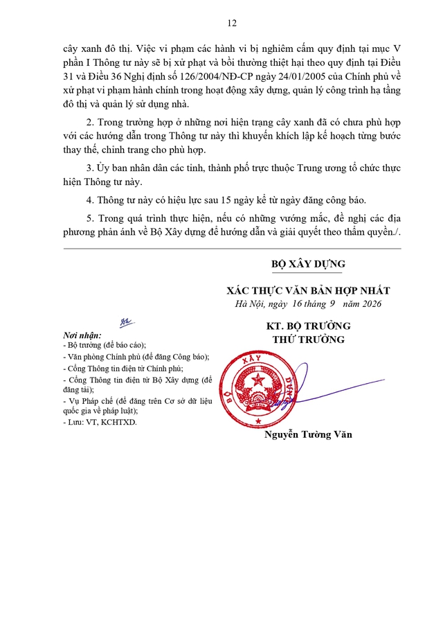 Thông tư hướng dẫn quản lý cây xanh đô thị- Ảnh 12.