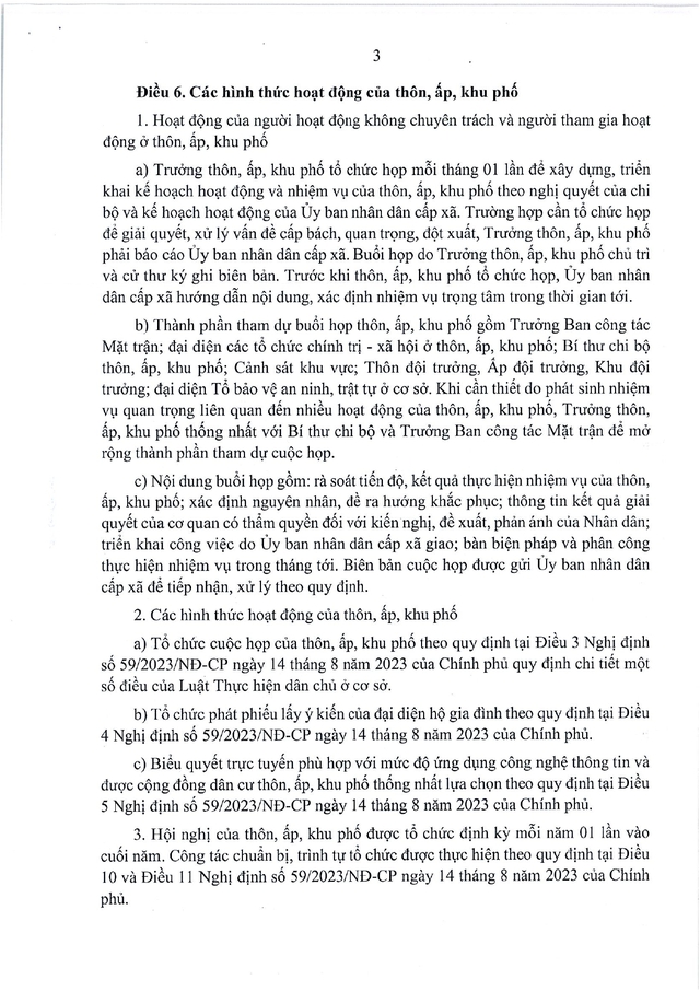 Quy chế tổ chức và hoạt động của thôn, ấp, khu phố trên địa bàn TP Đồng Nai- Ảnh 5.