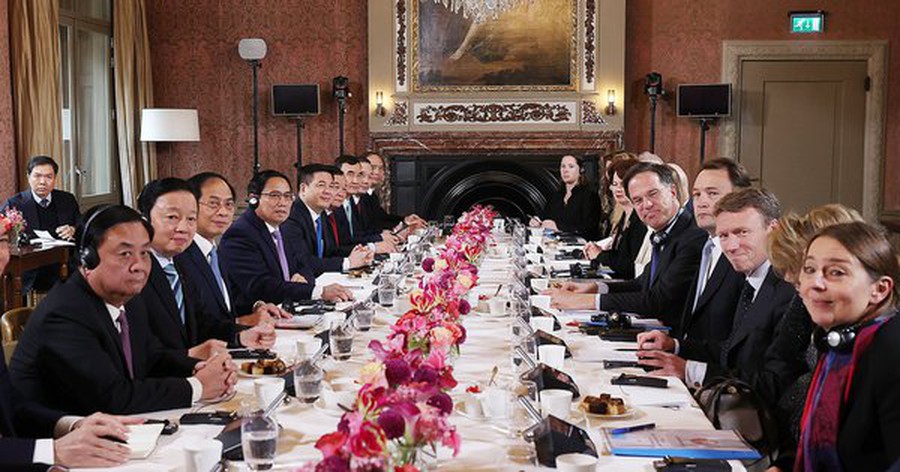 Hai Thủ tướng Việt Nam – Hà Lan nhất trí về nhiều vấn đề hợp tác chiến lược