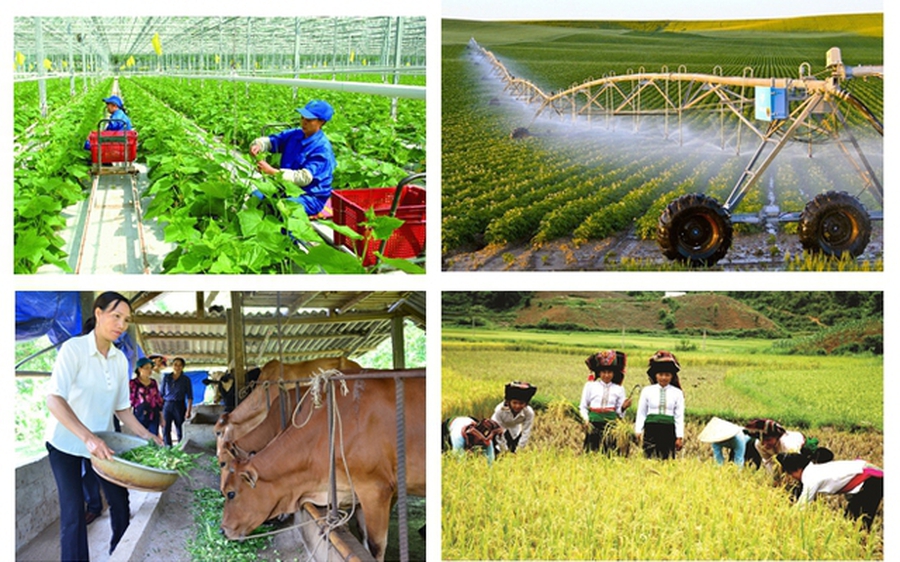 TOÀN VĂN: Quyết định về Tổng điều tra nông thôn, nông nghiệp năm 2025